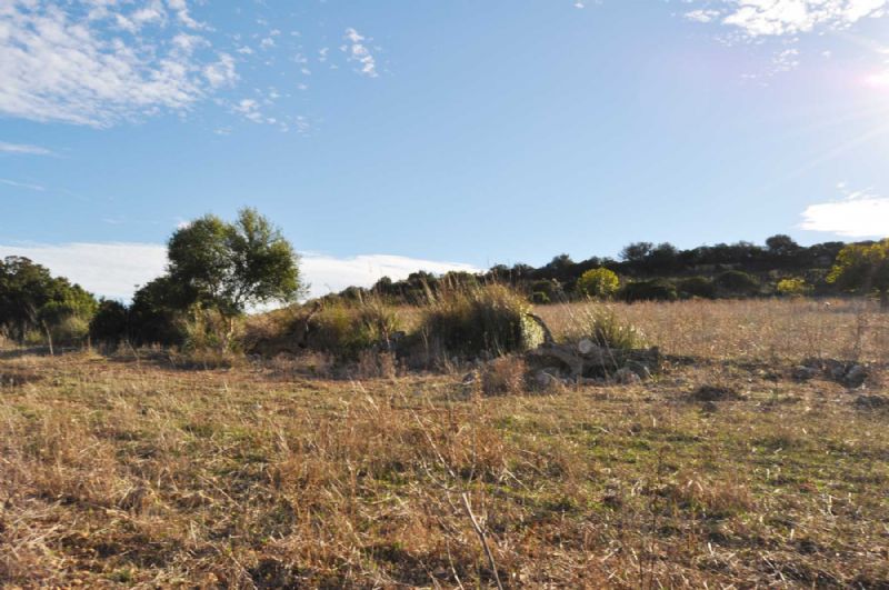 Country houses for Sale in MANACOR, MAJORCA, Spain