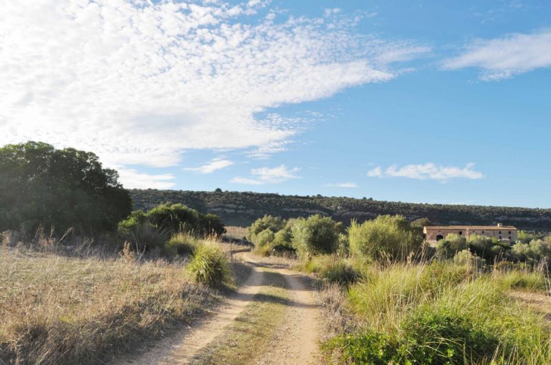 Country houses for Sale in MANACOR, MAJORCA, Spain