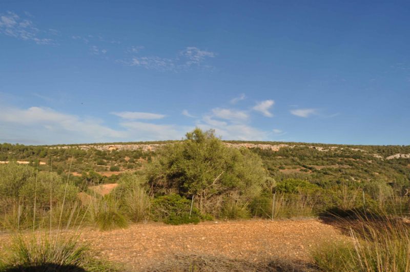 Country houses for Sale in MANACOR, MAJORCA, Spain