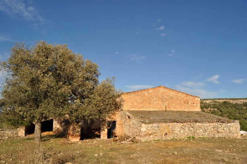 Country houses for Sale in MANACOR, MAJORCA, Spain