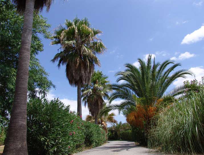 Country houses for Sale in INCA, MAJORCA, Spain