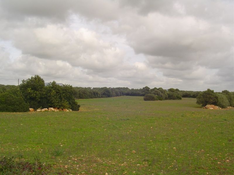 Country houses for Sale in LLUCMAJOR, MAJORCA, Spain