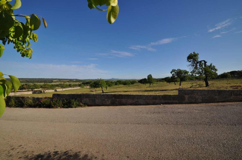 Townhouses for Sale in ARIANY, MAJORCA, Spain