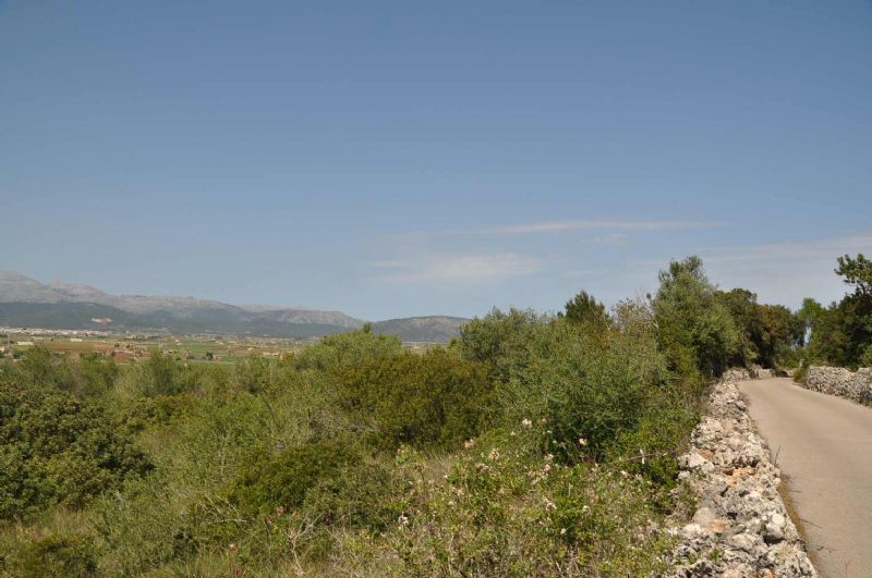 Country houses for Sale in MURO, MAJORCA, Spain
