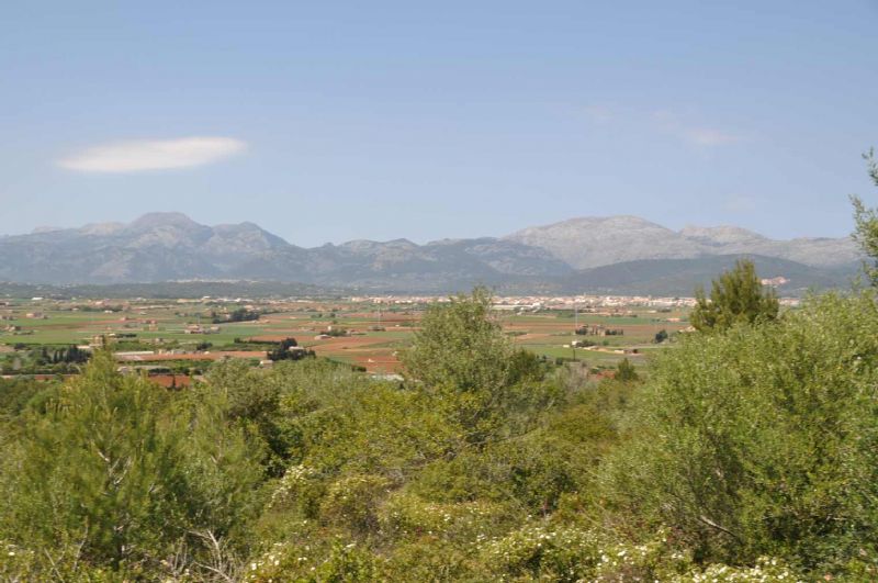 Country houses for Sale in MURO, MAJORCA, Spain