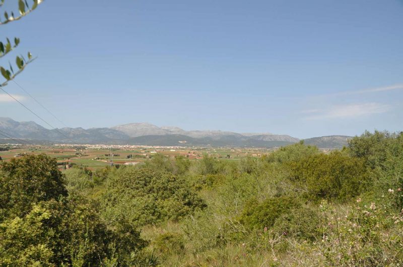 Country houses for Sale in MURO, MAJORCA, Spain