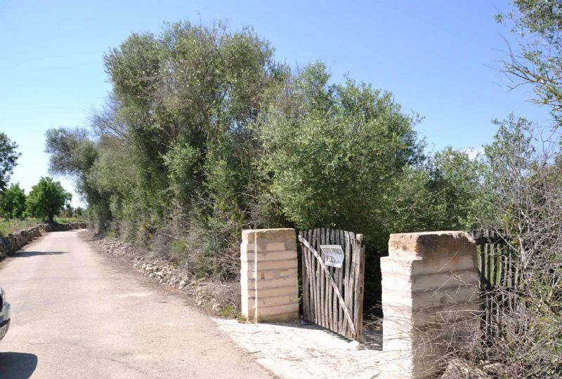 Country houses for Sale in MURO, MAJORCA, Spain
