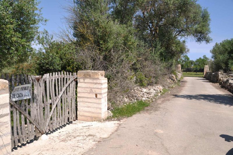 Country houses for Sale in MURO, MAJORCA, Spain