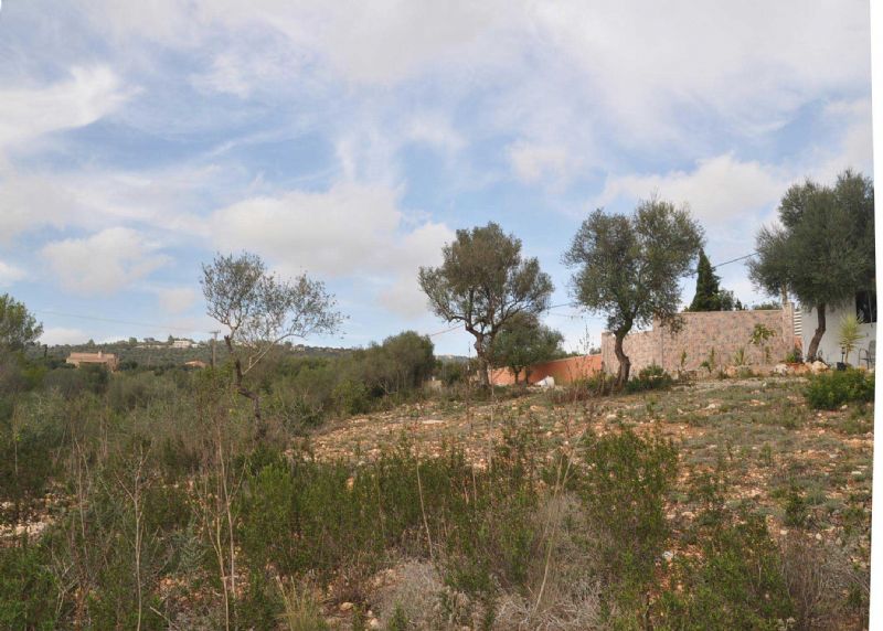 Country houses for Sale in Puntir�, PALMA DE MALLORCA, MAJORCA, Spain