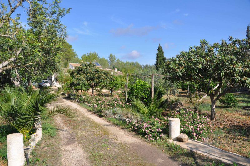 Country houses for Sale in SENCELLES, MAJORCA, Spain