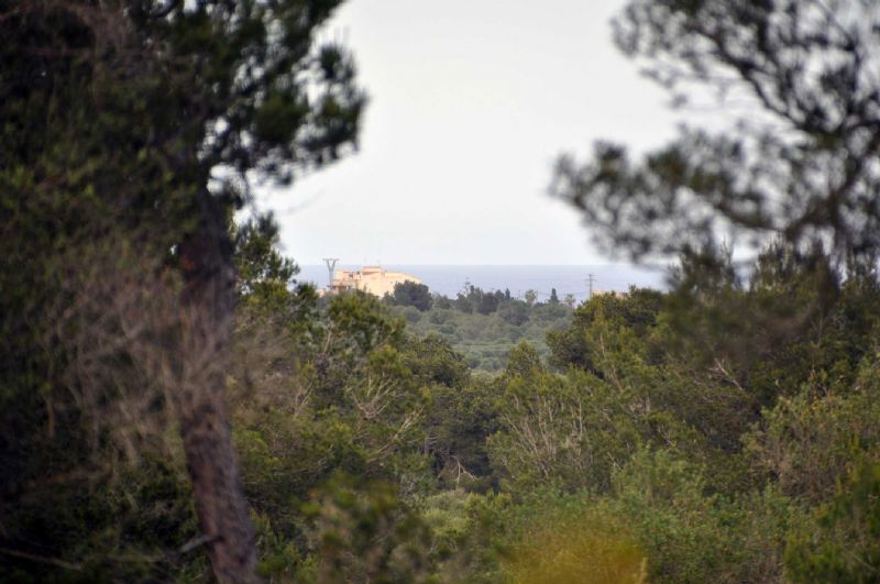 Country houses for Sale in Cala Romantica, MANACOR, MAJORCA, Spain