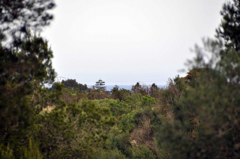 Country houses for Sale in Cala Romantica, MANACOR, MAJORCA, Spain