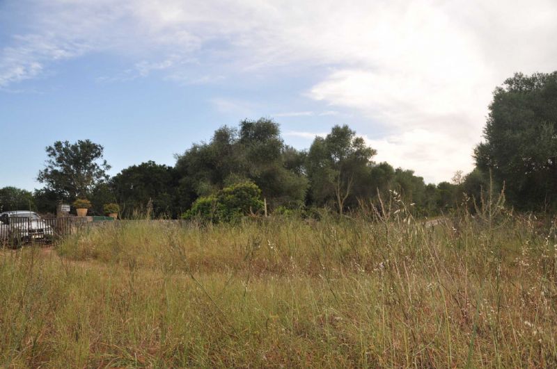 Country houses for Sale in Cala Romantica, MANACOR, MAJORCA, Spain