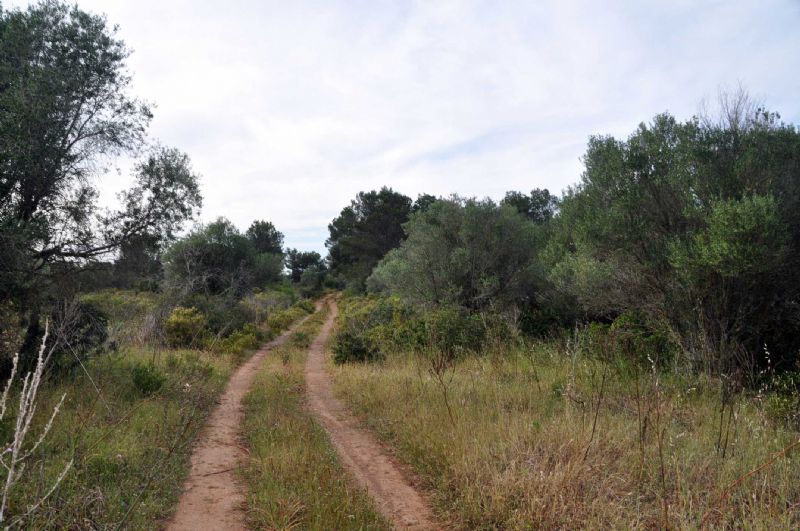 Country houses for Sale in Cala Romantica, MANACOR, MAJORCA, Spain