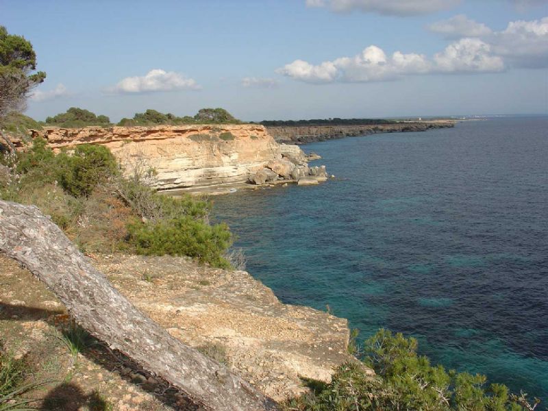 Plots for Sale in Vallgornera, LLUCMAJOR, MAJORCA, Spain