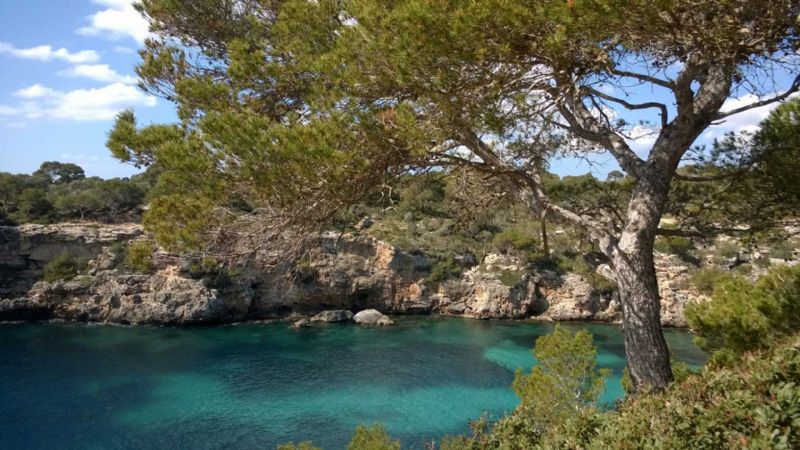 Plots for Sale in Vallgornera, LLUCMAJOR, MAJORCA, Spain