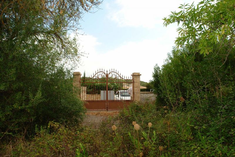 More on our Plots for Sale in Crestatx - Son Toni, SA POBLA, MAJORCA, Balearics, Spain