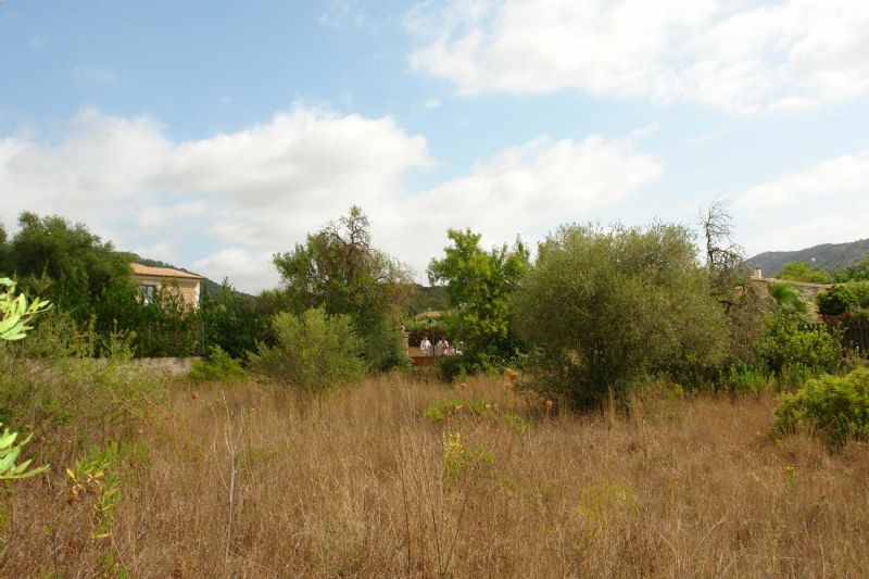 Plots for Sale in Crestatx - Son Toni, SA POBLA, MAJORCA, Spain
