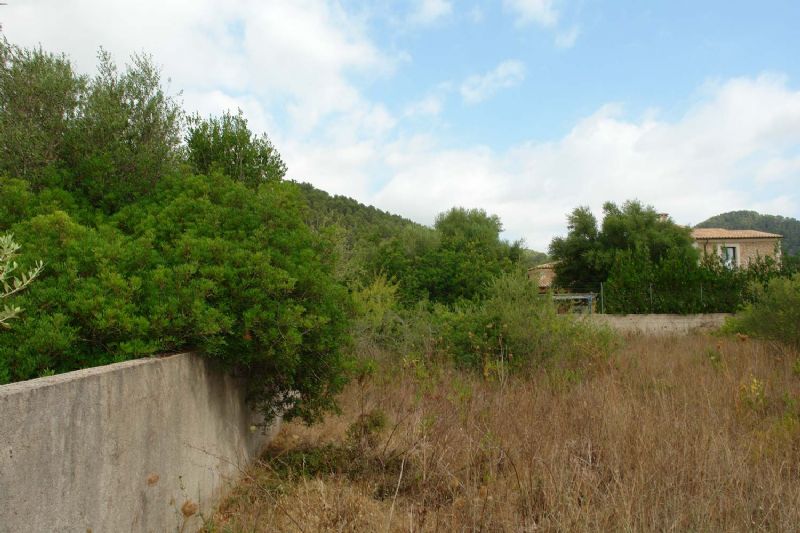 Plots for Sale in Crestatx - Son Toni, SA POBLA, MAJORCA, Spain