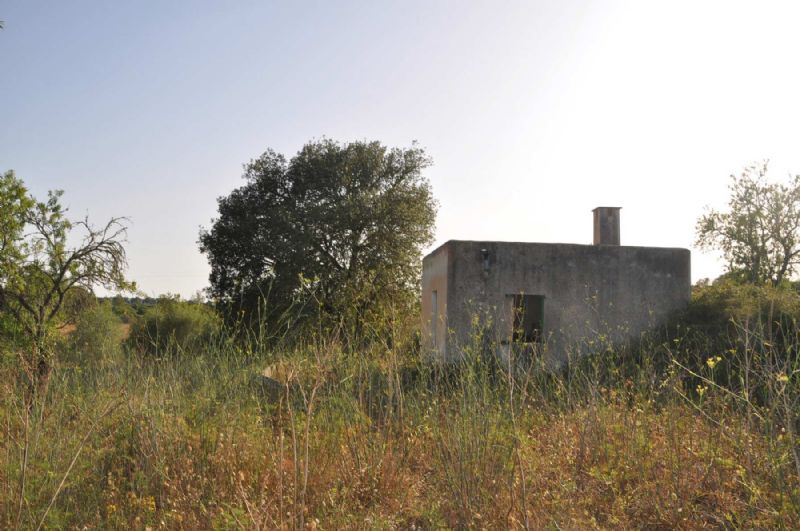 More on our Country houses for Sale in SANTA MARGALIDA, MAJORCA, Balearics, Spain