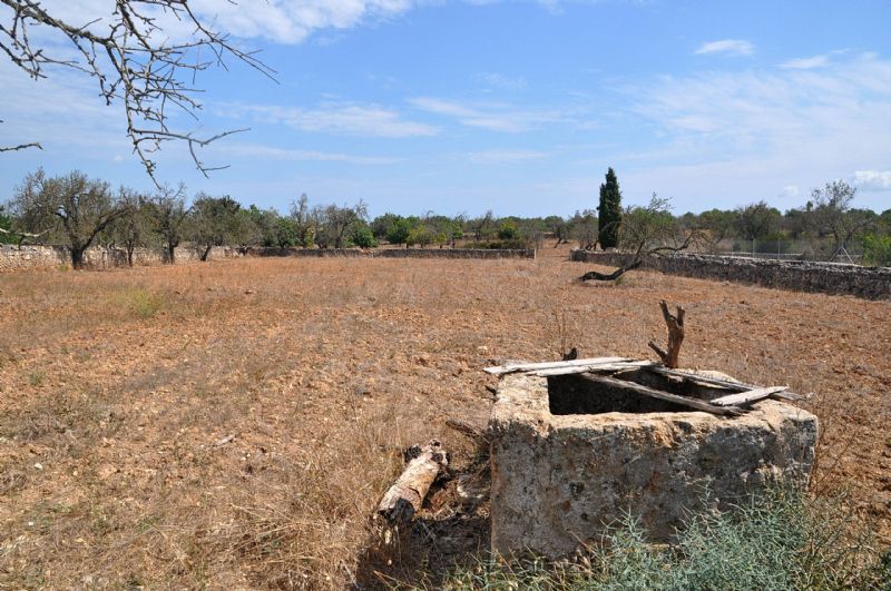 Country houses for Sale in SANTA MARGALIDA, MAJORCA, Spain