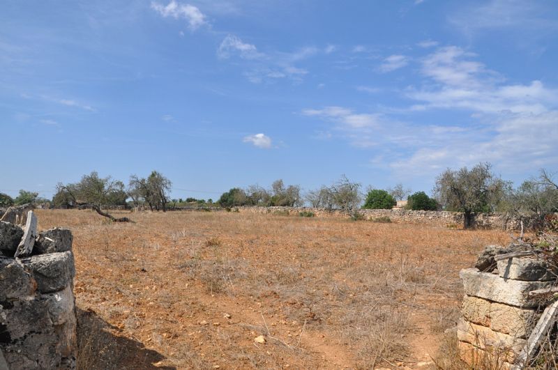 Country houses for Sale in SANTA MARGALIDA, MAJORCA, Spain