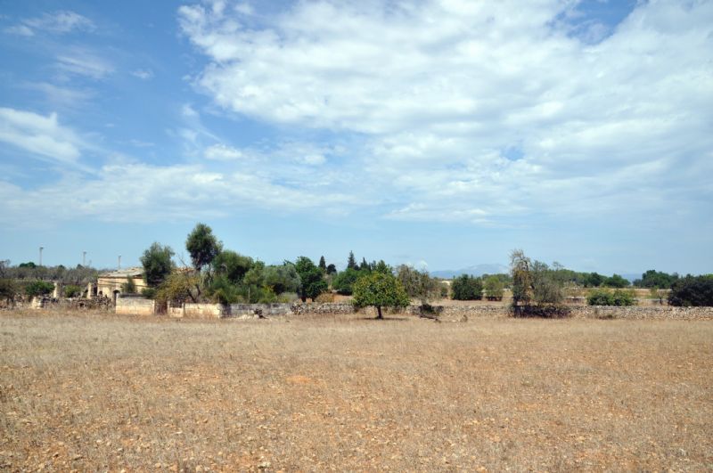 Country houses for Sale in SANTA MARGALIDA, MAJORCA, Spain