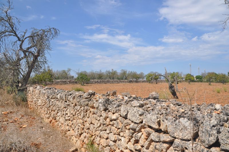 Country houses for Sale in SANTA MARGALIDA, MAJORCA, Spain