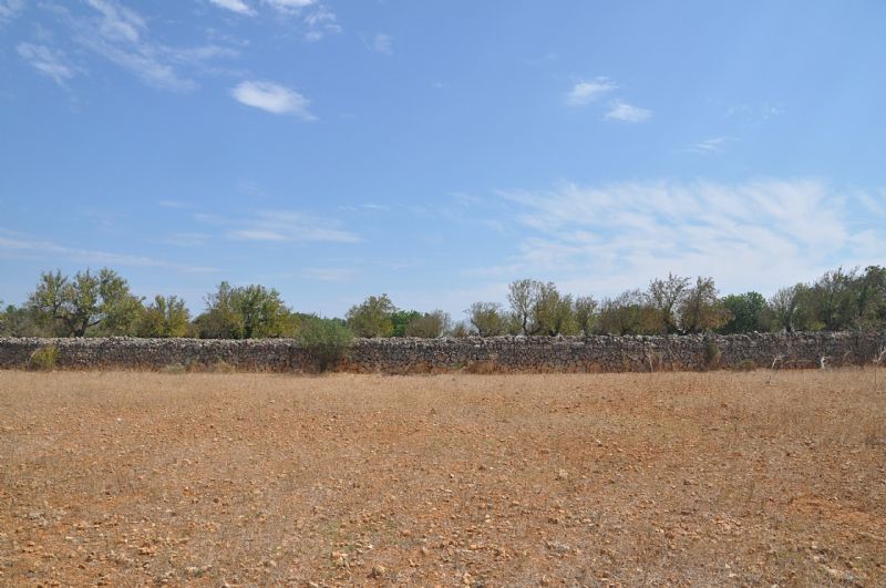 Country houses for Sale in SANTA MARGALIDA, MAJORCA, Spain