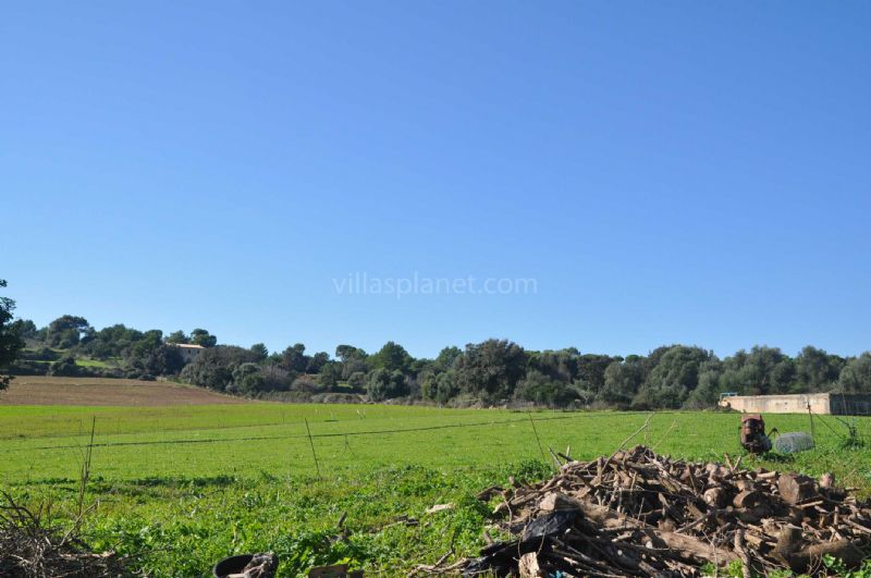 Country houses for Sale in ARTA, MAJORCA, Spain