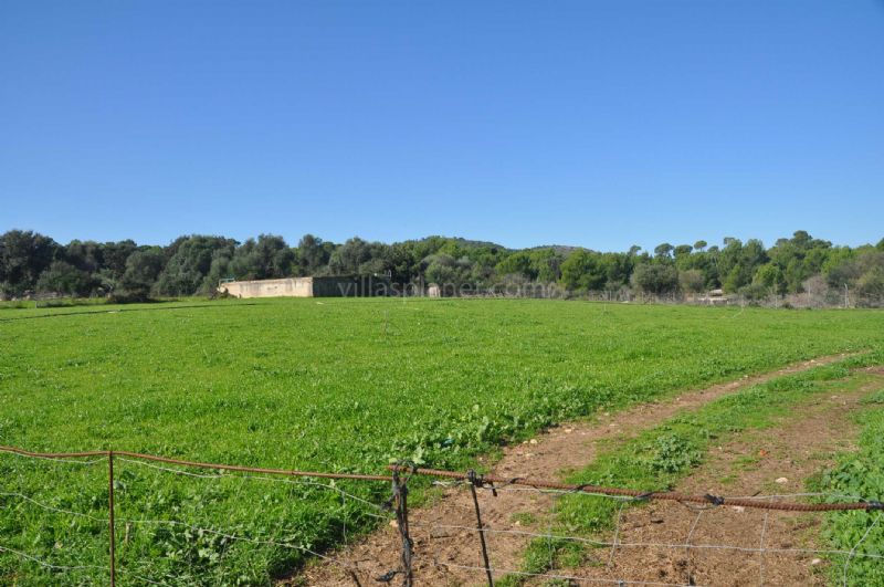Country houses for Sale in ARTA, MAJORCA, Spain