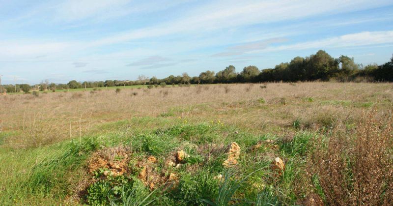 More on our Country houses for Sale in CAMPOS, MAJORCA, Balearics, Spain