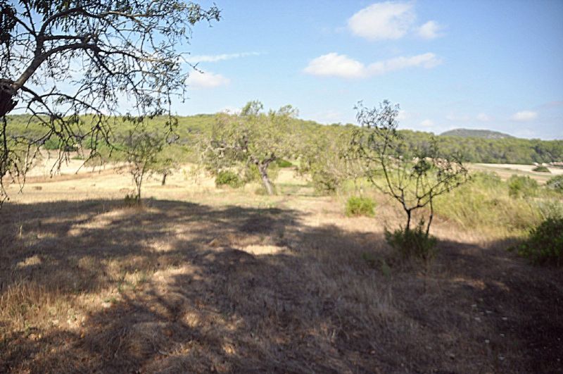 More on our Country houses for Sale in SANT JOAN, MAJORCA, Balearics, Spain