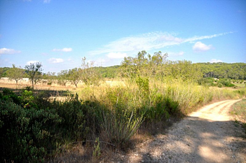 Country houses for Sale in SANT JOAN, MAJORCA, Spain