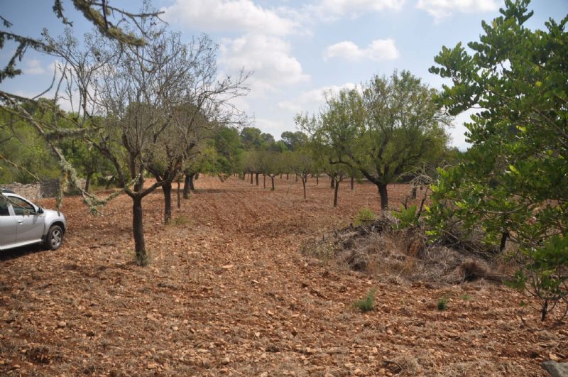 Country houses for Sale in SANT JOAN, MAJORCA, Spain