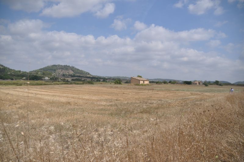 More on our Country houses for Sale in SANT JOAN, MAJORCA, Balearics, Spain