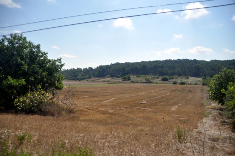 Country houses for Sale in SANT JOAN, MAJORCA, Spain