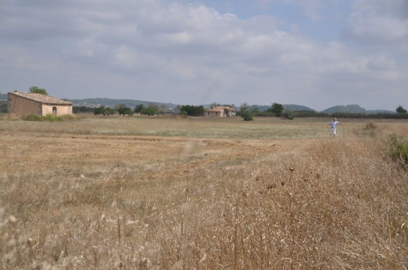 Country houses for Sale in SANT JOAN, MAJORCA, Spain