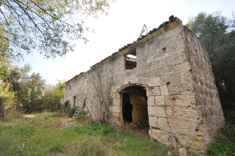 Country houses for Sale in SA POBLA, MAJORCA, Spain