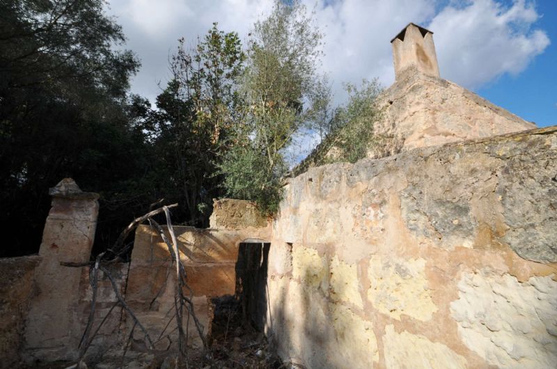 Country houses for Sale in SA POBLA, MAJORCA, Spain