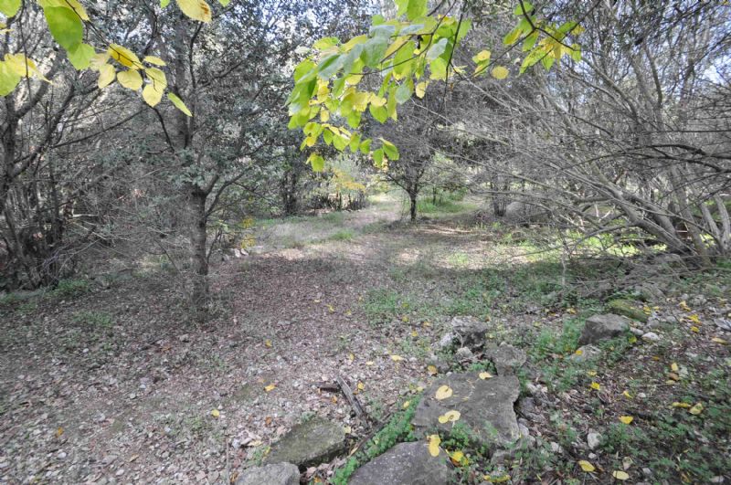 Country houses for Sale in SA POBLA, MAJORCA, Spain