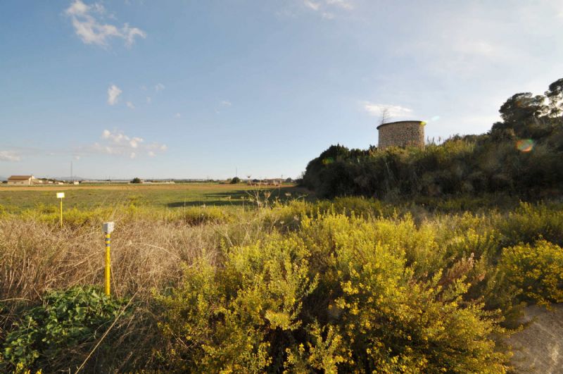 Country houses for Sale in SA POBLA, MAJORCA, Spain