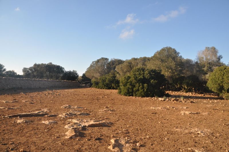 Country houses for Sale in LLUCMAJOR, MAJORCA, Spain