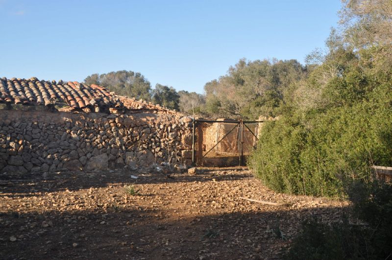Country houses for Sale in LLUCMAJOR, MAJORCA, Spain