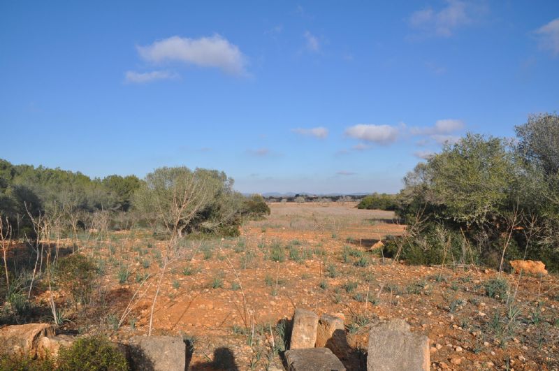 Country houses for Sale in LLUCMAJOR, MAJORCA, Spain