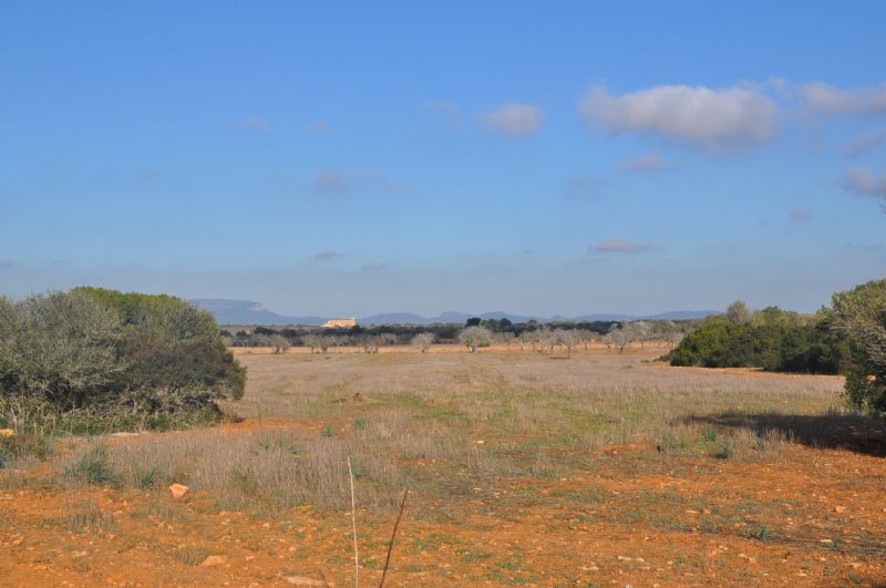 Country houses for Sale in LLUCMAJOR, MAJORCA, Spain