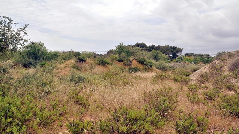 Country houses for Sale in Cala Mondrag�, SANTANYI, MAJORCA, Spain