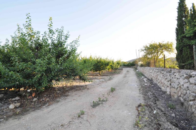 Country houses for Sale in Crestatx - Son Toni, SA POBLA, MAJORCA, Spain