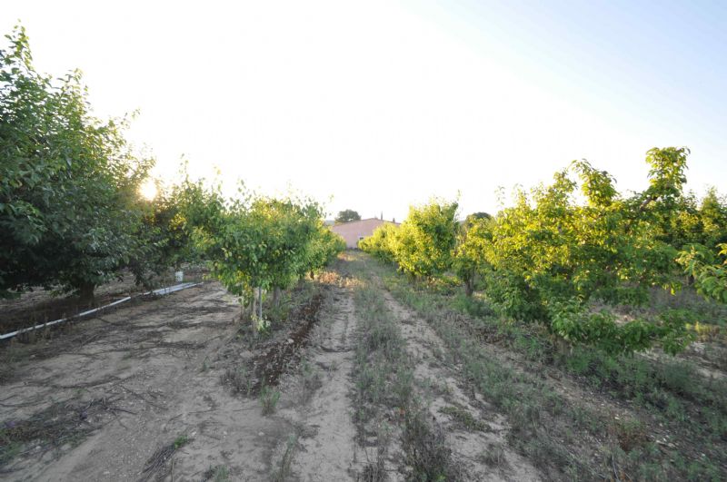 Country houses for Sale in Crestatx - Son Toni, SA POBLA, MAJORCA, Spain