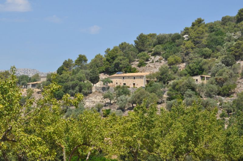 Country houses for Sale in MANCOR DE LA VALL, MAJORCA, Spain